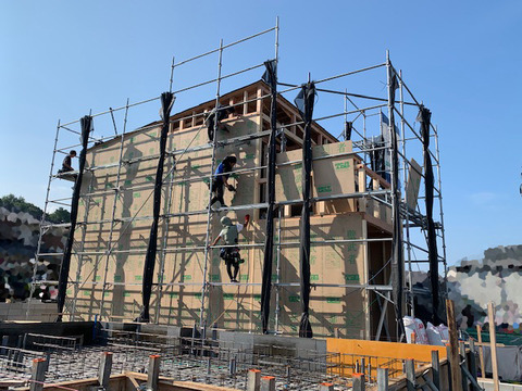 QIMG_5608.jpg
