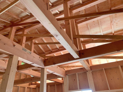 R030730-12.jpg