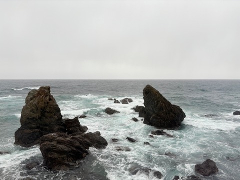 image1.jpeg