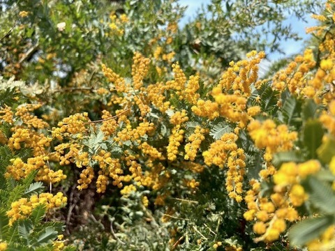 image1.jpeg