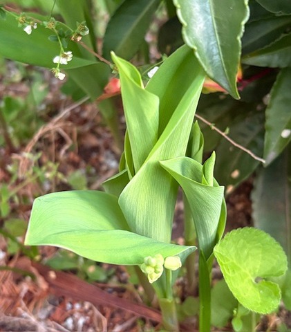 image1.jpeg